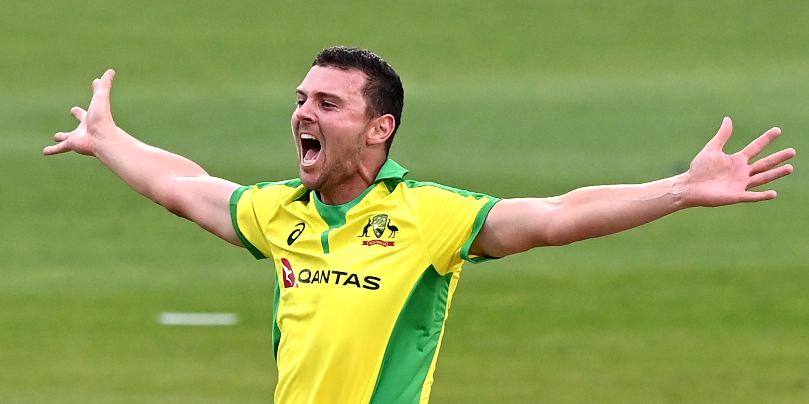 Josh Hazlewood’S Worst Day Ever? You Decide (Australia Vs South Africa T20I) - timnwol