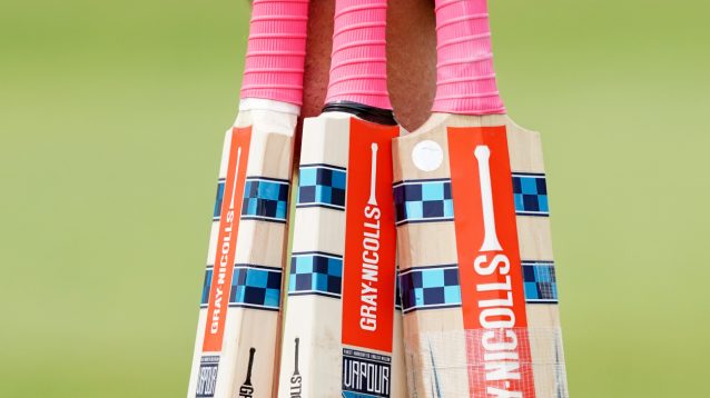 Several Gray-Nicolls cricket bats