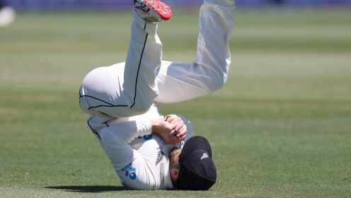 Kane Williamson catches in cricket
