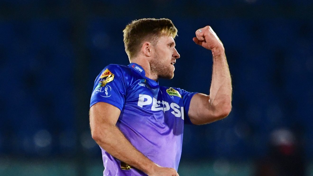 David Willey celebrates