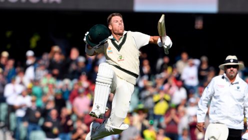 David Warner celebrates