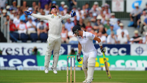 Brad Haddin appeals and celebrates