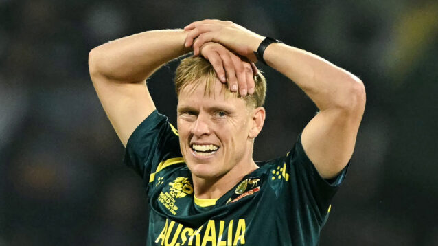 Nathan Ellis cricket